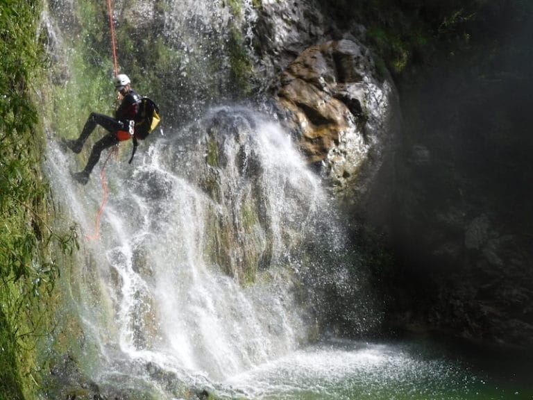 Gros plan sur la cagne dans les Alpes Maritimes