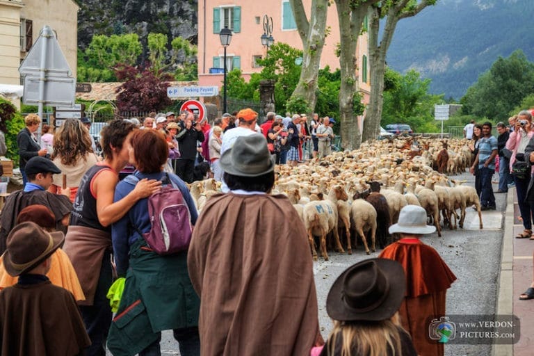 Fête de la transhumance à Castellane
