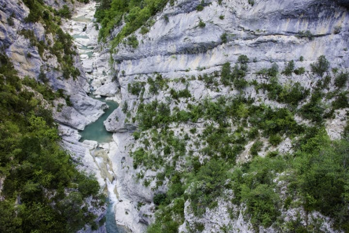 action du conseil général des alpes maritimes